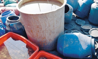 下水井旁泡蘑菇　食品安全不放心