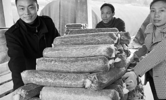 湖北青年回乡种香菇带动村民致富