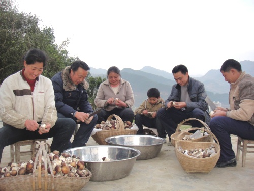 点击图片进入下一页