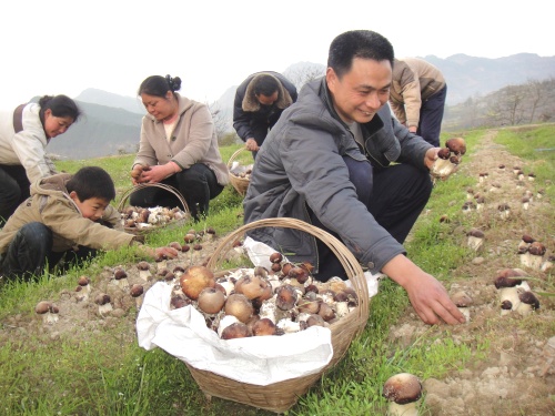 点击图片进入下一页