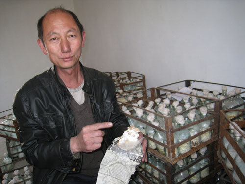 拜城有位农民“大田专家”