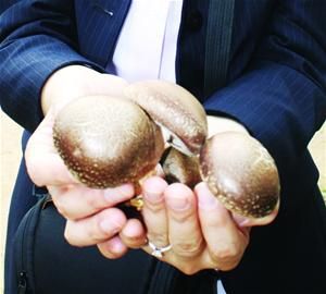 菜贩为赚昧心钱泡出&ldquo;注水菇&rdquo;一斤鲜香菇至少&ldquo;被喝&rdquo;二两水(组图)