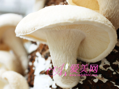 点击图片进入下一页