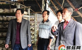 湖北省钟祥市贴息小额担保贷款扶持香菇种植