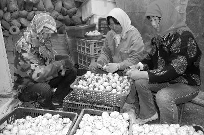 肃州区Manbetx体育手机版V17版本发布.官网安卓网.香港产业蓬勃发展