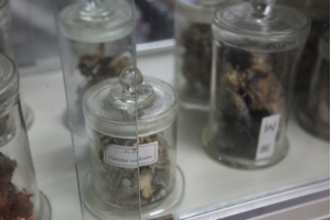 山东省应用真菌重点实验室参观（二）