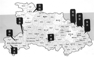 力推茯苓 湖北争抢药材话语权