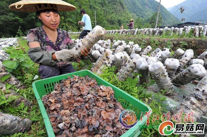 点击图片可在新窗口打开