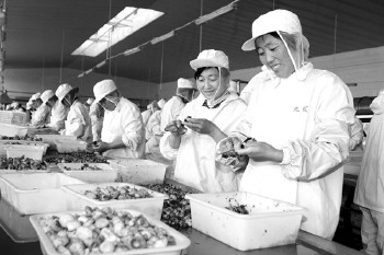 小蘑菇出国赚外汇