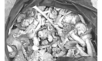 采食野蘑菇一家六口险丢命