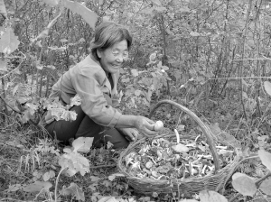 年年雨后蘑菇冒年年都有误食者