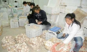 阳新县台资企业Manbetx体育手机版V17版本发布.官网安卓网.香港生产示范区被列为湖北省级农业标准化示范区