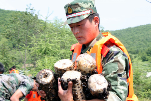 青山边防派出所民警帮助群众打捞木耳。常烈 摄