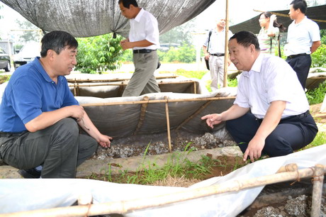 科技套餐工程考察昌平区ManBetX体育基地