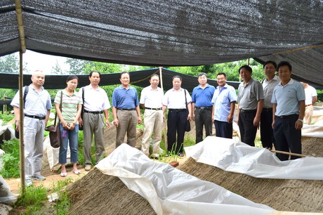 科技套餐工程考察昌平区ManBetX体育基地