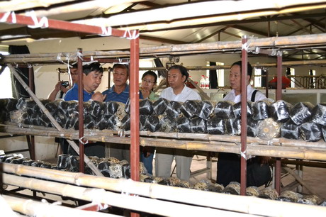 科技套餐工程考察昌平区ManBetX体育基地