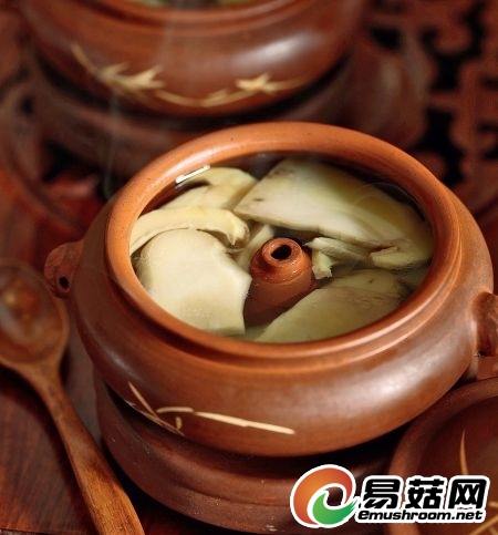 汽锅牛肝菌 汽锅牛肝菌