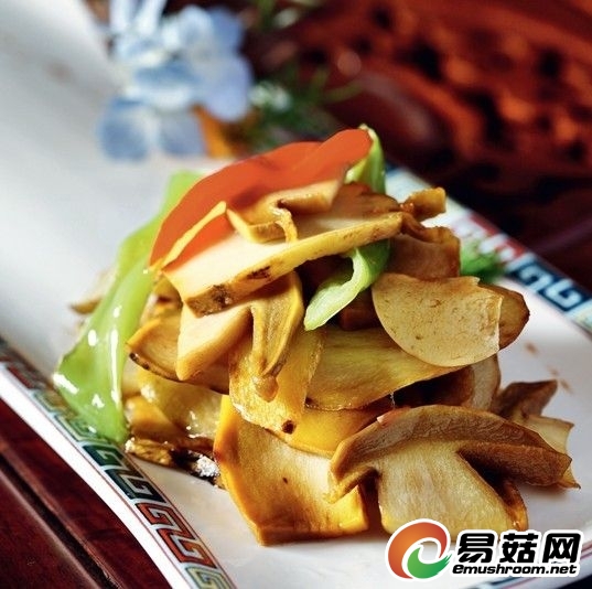 青松翠柏牛肝菌 青松翠柏牛肝菌