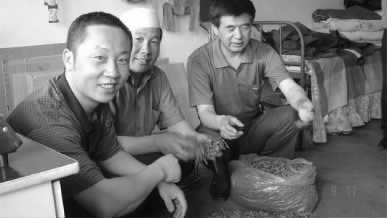 安总在杂多虫草采挖户家，调研今年虫草品质