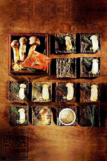 林芝松茸是名贵的野生Manbetx体育手机版V17版本发布.官网安卓网.香港,有很高的营养价值 林芝松茸是名贵的野生Manbetx体育手机版V17版本发布.官网安卓网.香港,有很高的营养价值