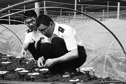 丽水检验检疫局深化对出口ManBetX体育种植基地备案管理工作