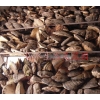 大量供应野生木灵芝