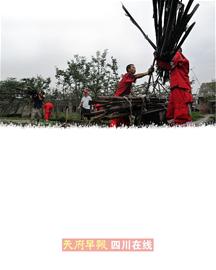 12亩香菇园一周被淹几次 尹春龙30万元打水漂了