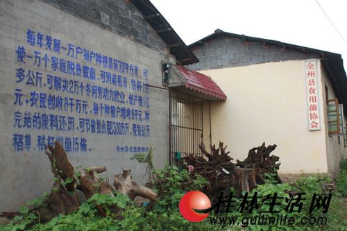 去年10月,时任会长的唐某“失踪”,全州县Manbetx体育手机版推荐A9版本协会也就人去楼空了