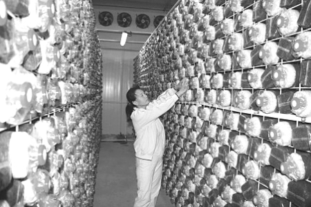 Manbetx体育手机版推荐A9版本工厂化生产