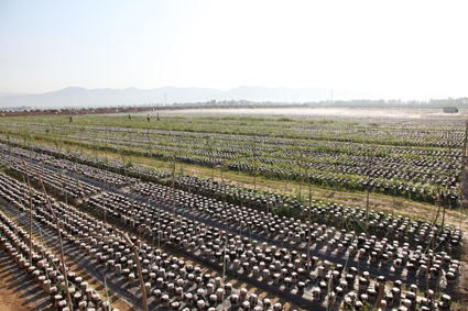 点击浏览下一页