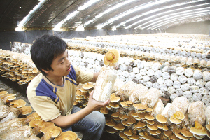 ManBetX体育生产车间