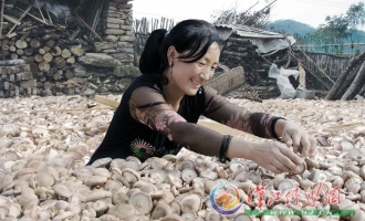 湖北省南漳县肖堰镇黄家沟村民种香菇增收