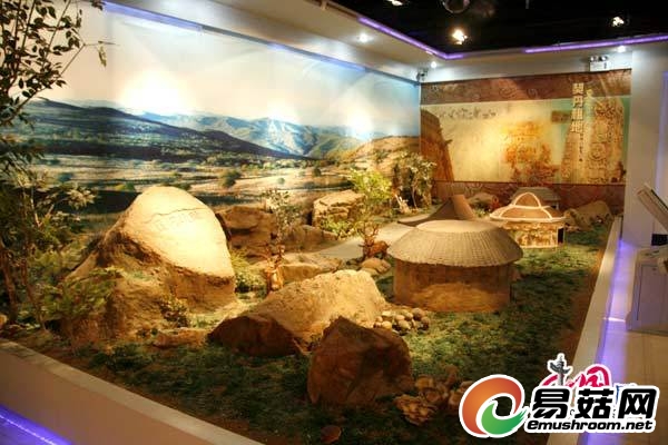 平泉县蘑菇种植厂的滑子菇 陈宝 摄