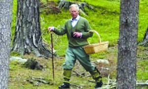 王室的“丑闻”