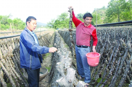 本报记者 丁需学