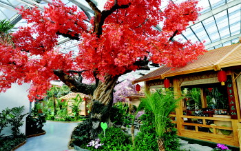 芳绿公司投资8000余万元建设的&ldquo;菇仙园&rdquo;一角。董乃德 张海峰 报道