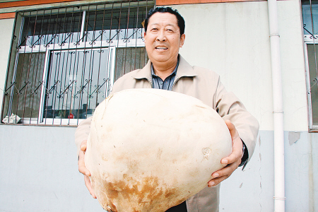 本报榆林讯 昨日上午，家住榆林市柳营西路的闫先生买菜时，在卖蘑菇的商贩那里看见一个超大型的蘑菇，因为商贩与闫先生熟识，便将这个大蘑菇送给了闫先生，闫先生拿回家一称，竟有八斤半重。