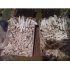 常年销售鲜鸡腿菇