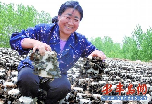 小小ManBetX体育贴上&ldquo;大标签&rdquo;