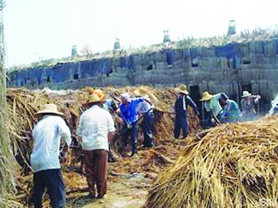 专业的收购服务队直接到田间地头收购秸秆。 专业的收购服务队直接到田间地头收购秸秆。