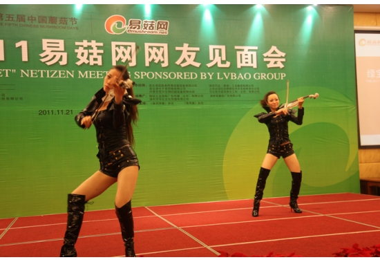 节目表演：电子小提琴演奏