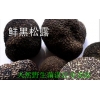 长期供应一级黑松露