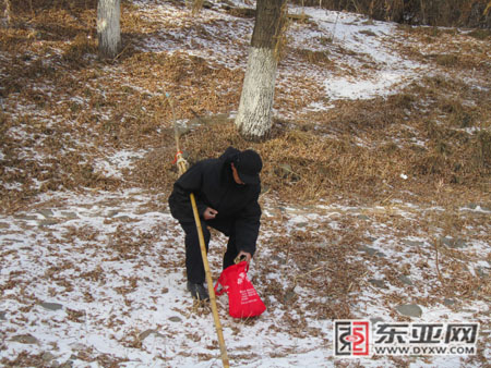 装蘑菇 本组图片 读者供图