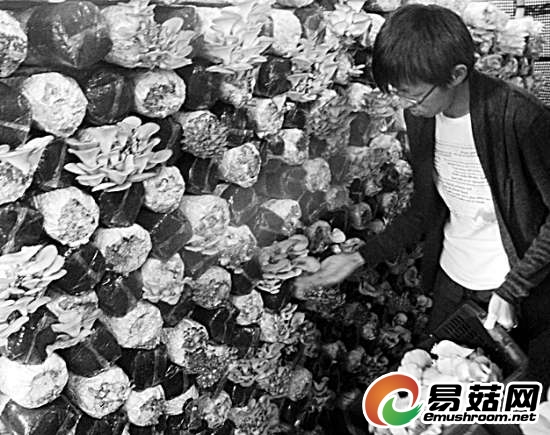 加快建设创新型特区和区域中心城市