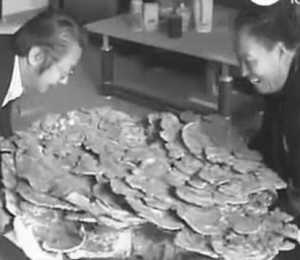 这灵芝个头真不小。