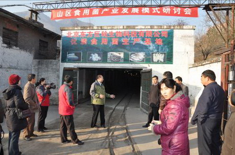 北京Manbetx体育手机版V17版本发布.官网安卓网.香港协会召开Manbetx体育手机版V17版本发布.官网安卓网.香港发展模式研讨会