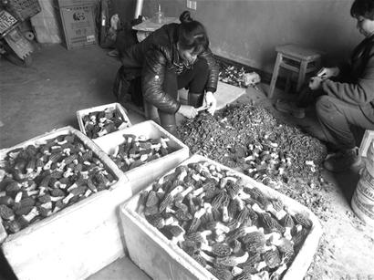 特约记者 李启华