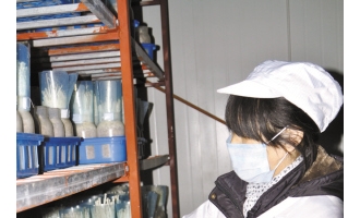 货架上栽培金针菇