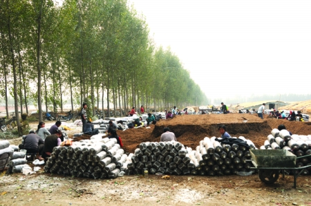 ManBetX体育装料现场