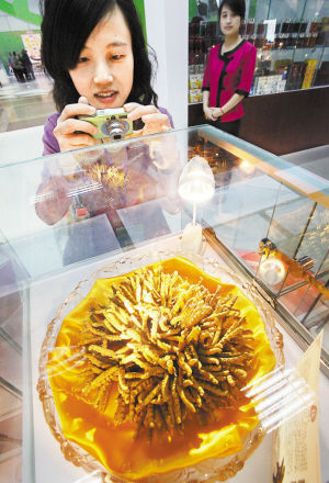 高端养生品市场虫草独撑